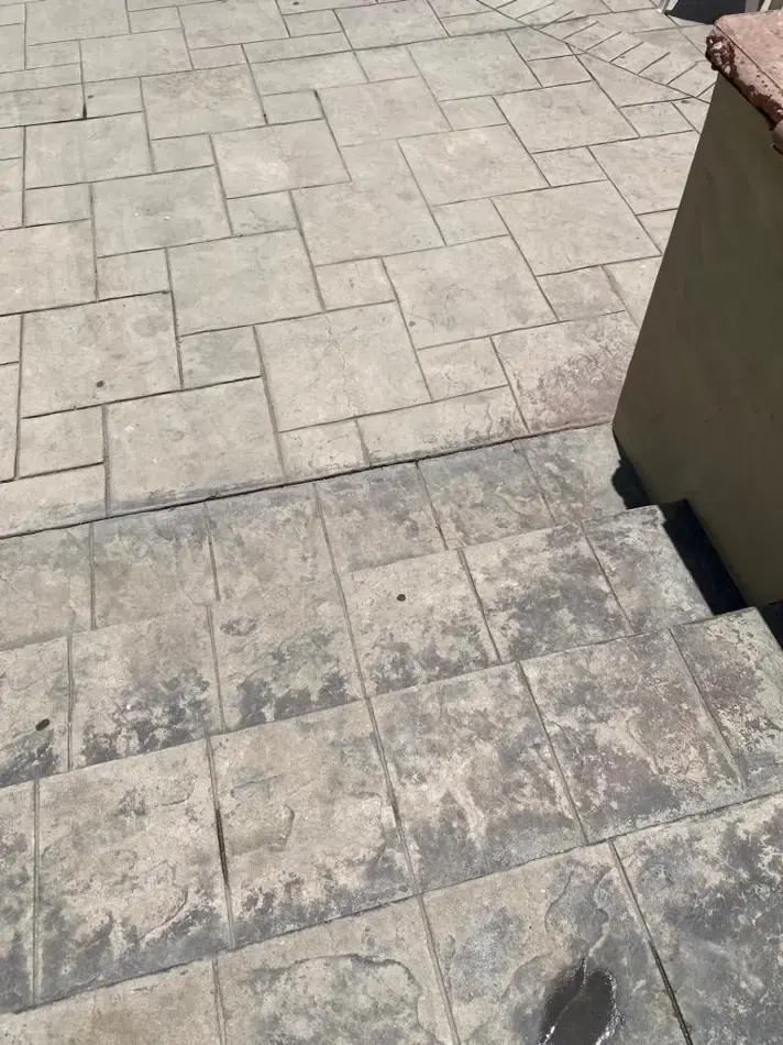 Casa Delfín en Mazatlán, fotografía 3