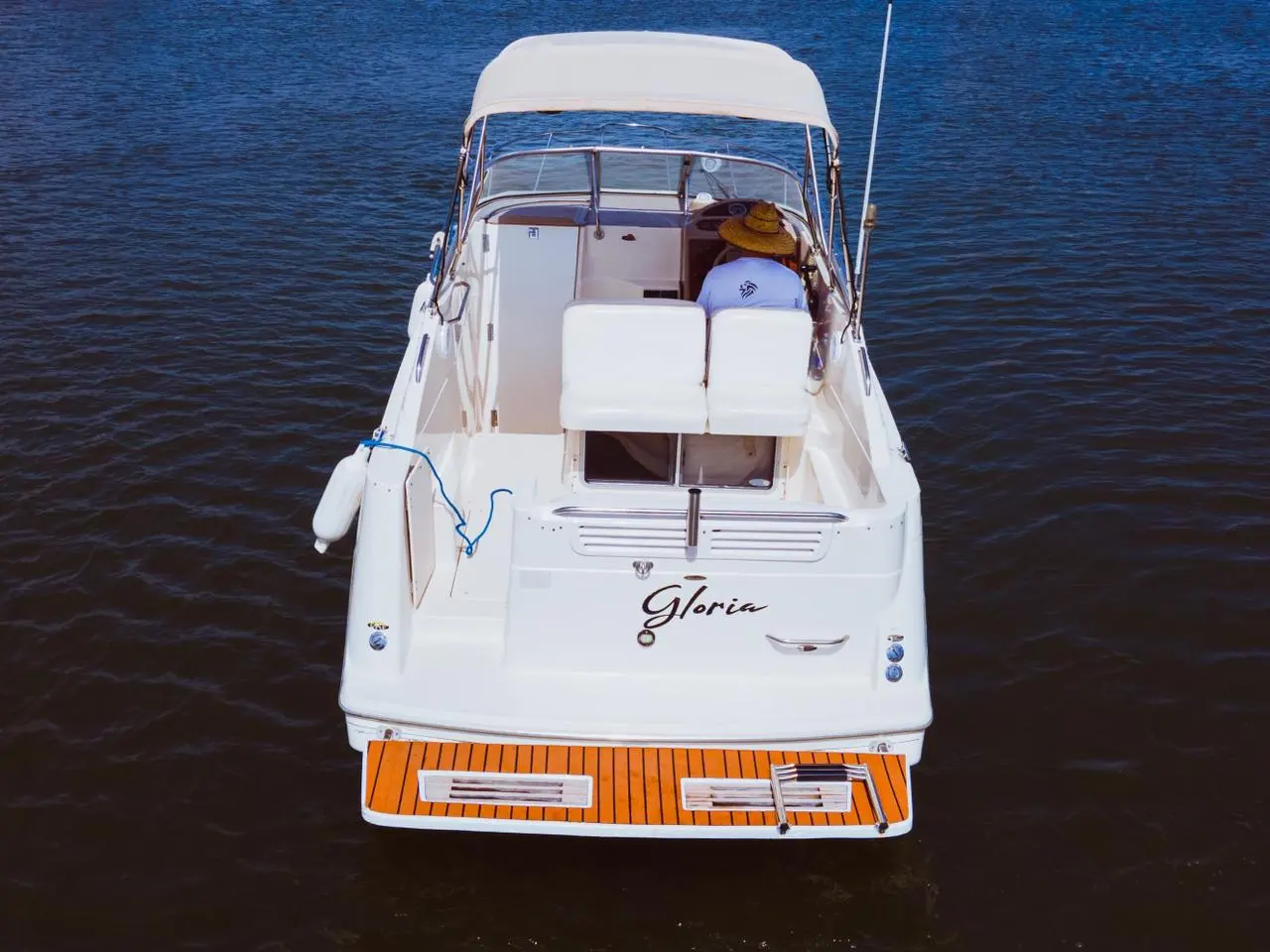 Gloria en Mazatlán, fotografía 4