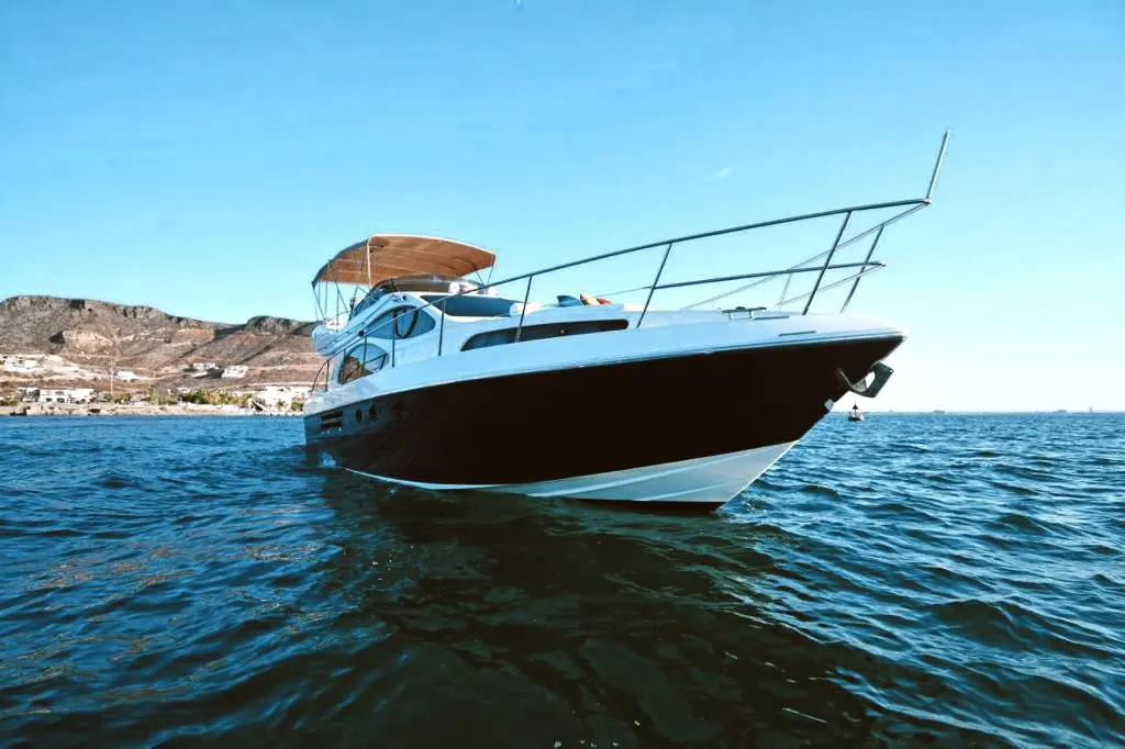 Nautilius en Mazatlán, fotografía 30