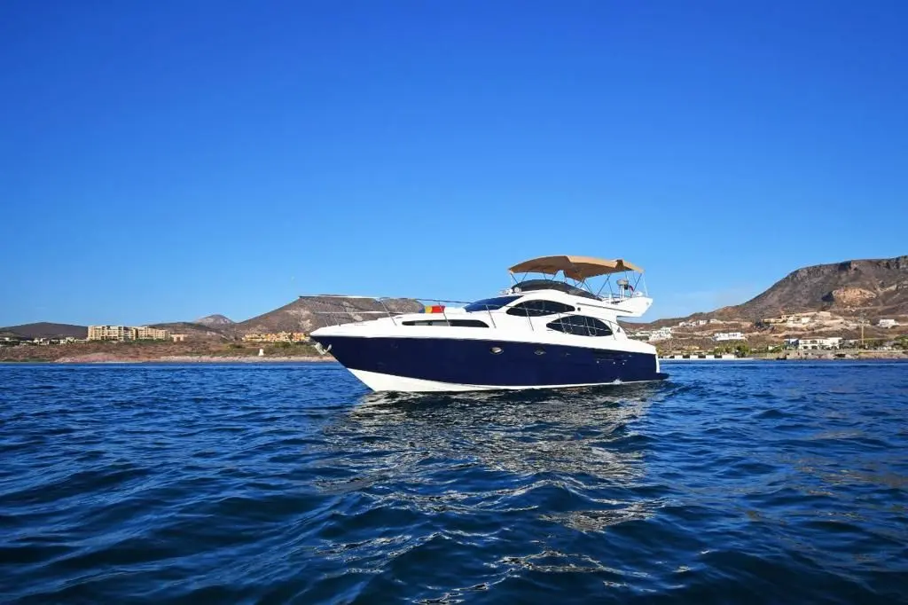 Nautilius en Mazatlán, fotografía 33