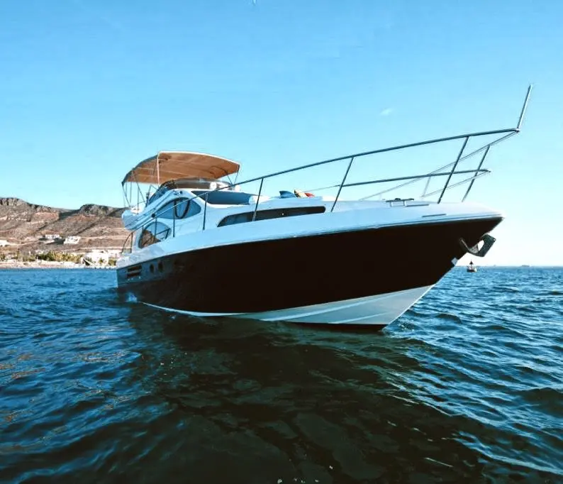 Nautilius en Mazatlán, fotografía 35