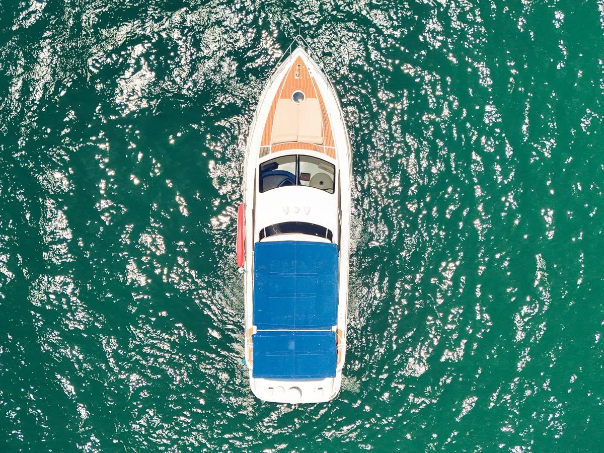 Nautilius en Mazatlán, fotografía 37