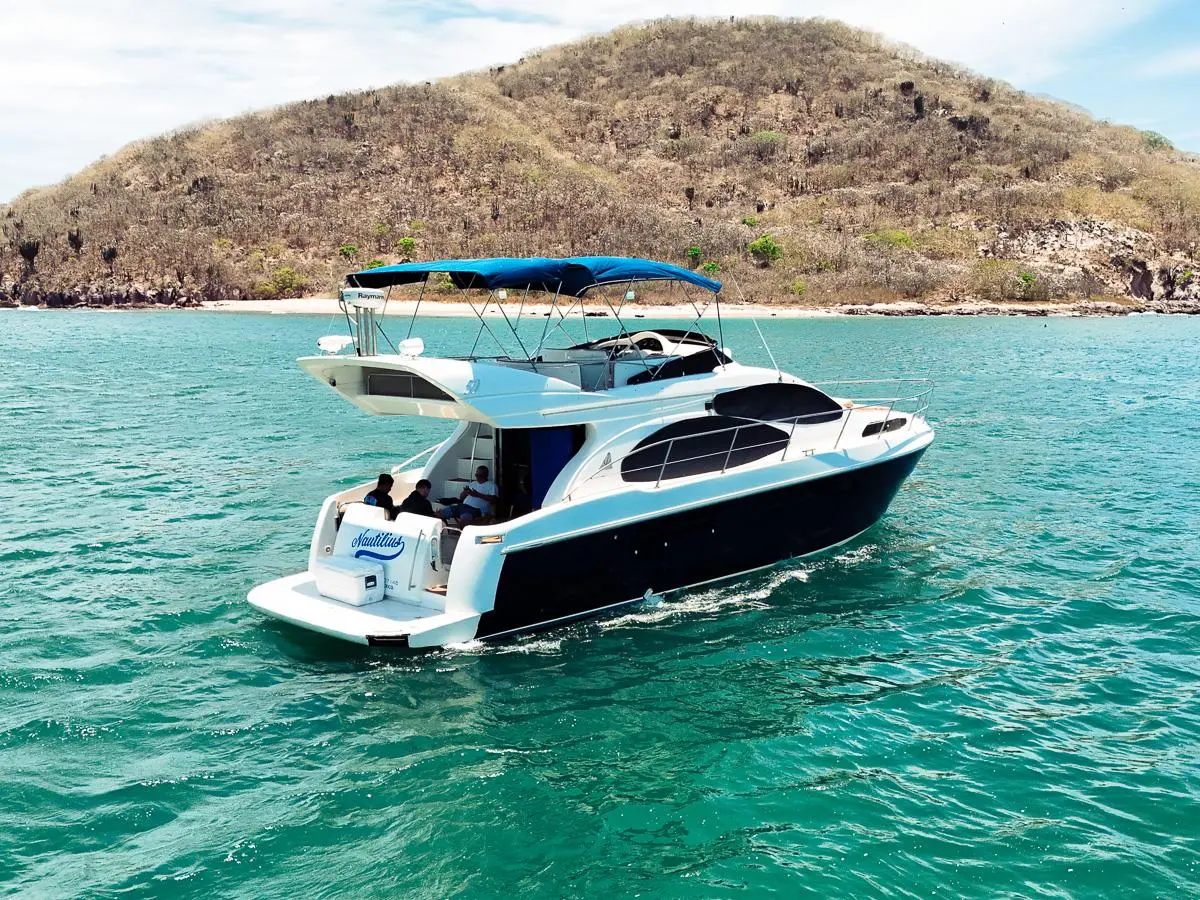 Nautilius en Mazatlán, fotografía 40